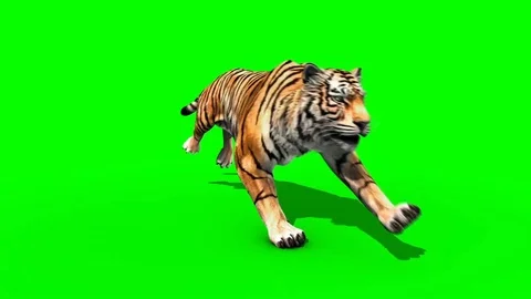 Green Screen Videos